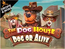 Слот Дог Хаус Слот Дог Хаус
